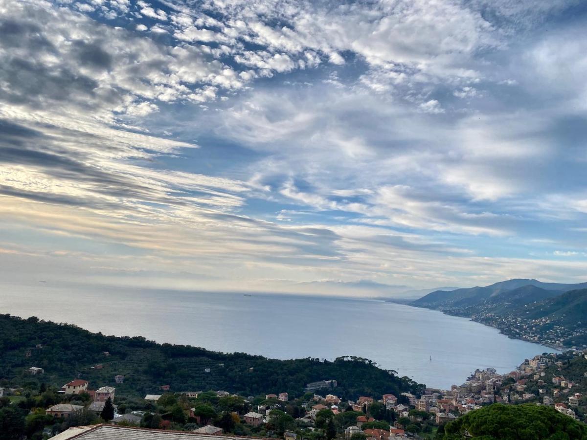 Apartment Portofino House *